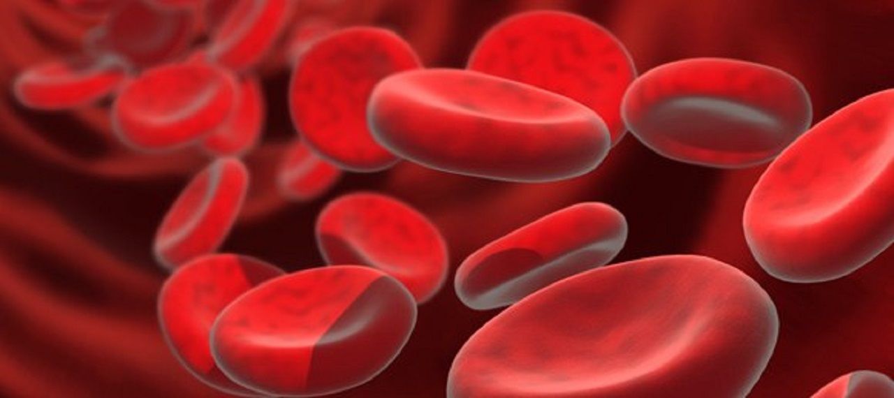 Día Mundial de la Hemofilia Hemofilia - Formula Medica
