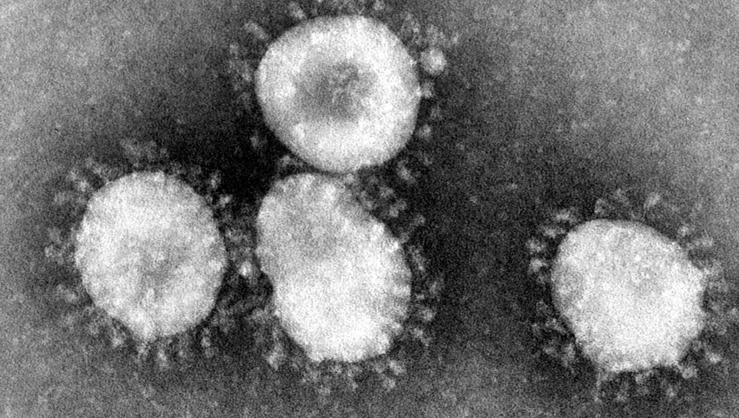 Abece del Coronavirus - Formula Medica