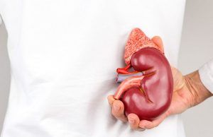 En Colombia más de dos mil pacientes esperan un trasplante de riñón Trasplante de riñón en Colombia - Fórmula Médica