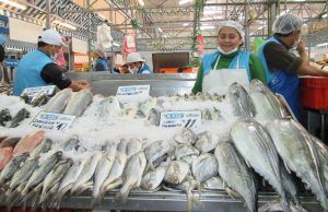 Secretaría de Salud avanza en inspección sanitaria a venta de productos de pesca Controles a la venta de pescado - Fórmula Médica