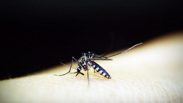 Prevenir el dengue en tiempos de pandemia - Fórmula Médica Prevenir el dengue en tiempos de pandemia - Fórmula Médica