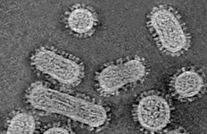 Ya son 20.177 los contagios con COVID-19 en Colombia 20.177 personas en Colombia tienen COVID-19 - Fórmula Médica