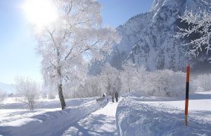 Directora de la OPS insta a los países a prepararse para enfrentar los efectos del invierno y los huracanes en el marco de la pandemia Prepararse para enfrentar los efectos del invierno y los huracanes durante el COVID-19 - Fórmula Médica