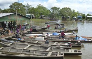 Mejora la situación del Amazonas frente al COVID-19 Situación del COVID-19 en el Amazonas - Fórmula Médica