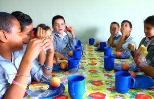 La salud nutricional de nuestros niños Nutrición en niños - Fórmula Médica