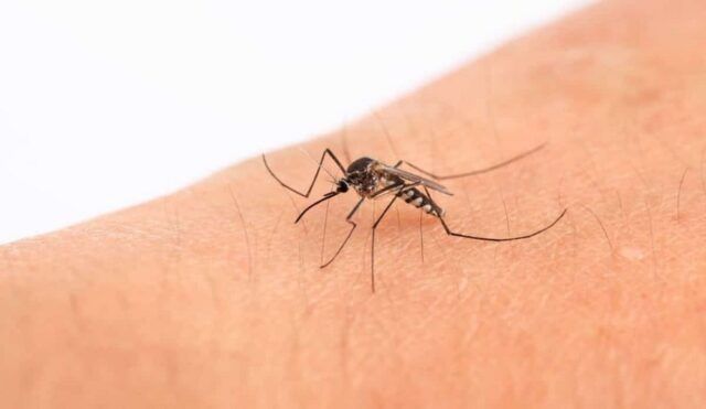 Malaria en Colombia - Fórmula Médica Malaria en Colombia - Fórmula Médica