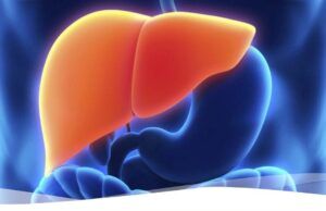 Minsalud adquirió más de mil tratamientos para la hepatitis C Hígado - Fórmula Médica