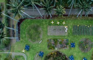 Jardín Botánico celebra 66 años reverdeciendo a Bogotá Jardín Botánico de Bogotá - Fórmula Médica