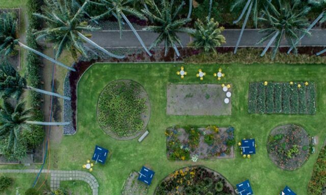 Jardín Botánico de Bogotá - Fórmula Médica Jardín Botánico de Bogotá - Fórmula Médica