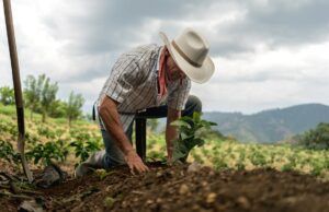 Consejos de expertos para cuidar la salud mental de los agricultores Salud mental de los agricultores - Fórmula Médica