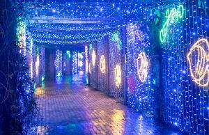 Pacificanto. Con una exhibición de luces inspirada en el Pacífico, el Jardín Botánico se suma a la Ruta de la Navidad 2021 Iluminación Jardín Botánico de Bogotá - Fórmula Médica