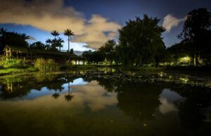 Se reactivan las jornadas nocturnas del Jardín Botánico de Bogotá Jardín Botánico de Bogotá - Fórmula Médica