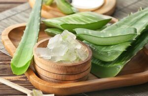11 beneficios del Aloe o Sábila Aloe o Sábila - Fórmula Médica