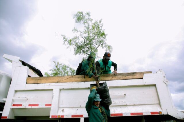 Nuevos bosques para Bogotá - Fórmula Médica Nuevos bosques para Bogotá - Fórmula Médica