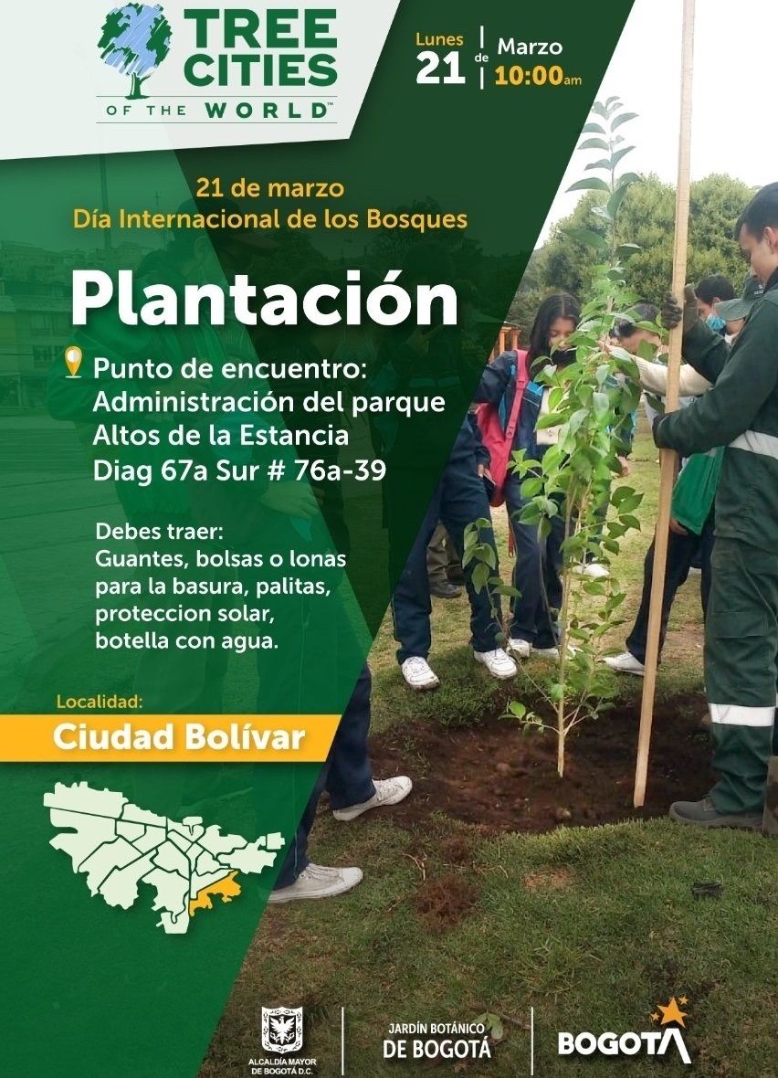 Plantación de arboles en Bogotá - Fórmula Médica