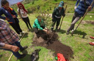 Jornada distrital de plantaciones para celebrar el Día Mundial del Árbol Jornada de plantación - Fórmula Médica