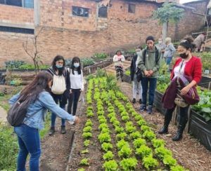 Agricultura Urbana y Periurbana Agroecológica - Fórmula Médica