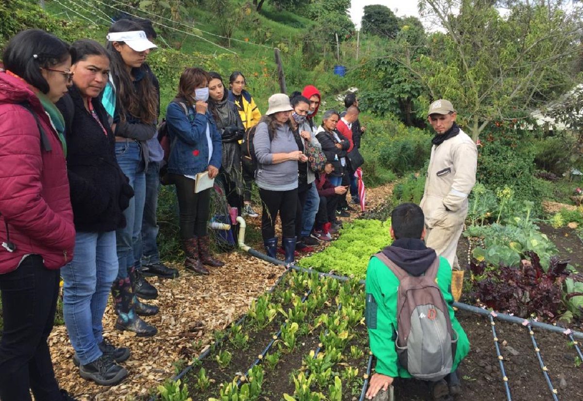 Agricultura Urbana y Periurbana Agroecológica - Fórmula Médica