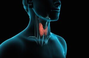 El cáncer de tiroides afecta tres veces más a las mujeres que a los hombres Cáncer de tiroides - Fórmula Médica