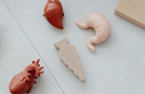 Minsalud e INS conmemoran el Día Mundial del Donante de Órganos y Tejidos Donación de órganos - Fórmula Médica