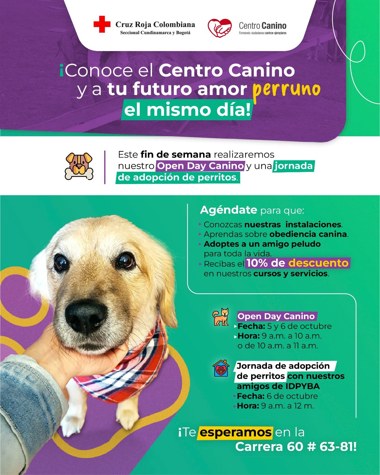 Open Day Canino - Fórmula Médica