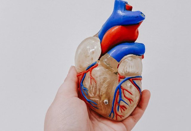 Salud vascular - Fórmula Médica Salud vascular - Fórmula Médica