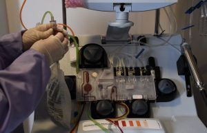 Conoce cómo donar células madre que podrían salvar vidas a miles de personas Donar células madre - Fórmula Médica