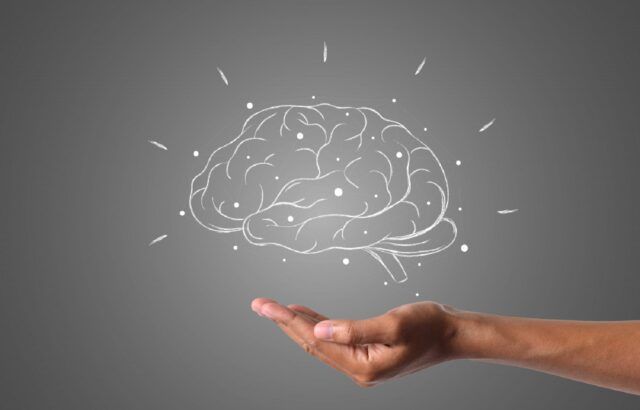 Alimentos que cuidan tu cerebro - Fórmula Médica Alimentos que cuidan tu cerebro - Fórmula Médica