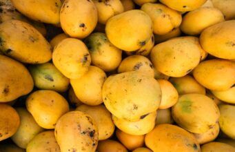 Beneficios del mango: una fruta dulce para una alimentación sana Beneficios del mango - Fórmula Médica