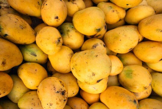 Beneficios del mango: una fruta dulce para una alimentación sana Beneficios del mango - Fórmula Médica